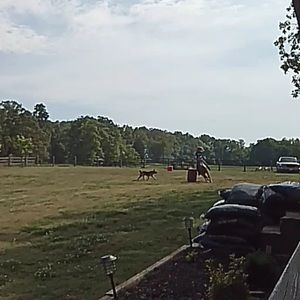 Meet your Posher, Emma